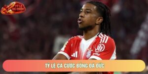 Tỷ Lệ Cá Cược Bóng Đá Đức: Khám Phá Thế Giới Kèo Cược Bundesliga